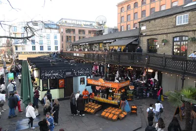 DSC_6821 (Large).JPG